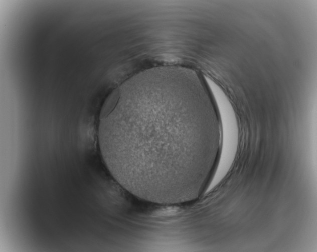 X0000089880609200707051211