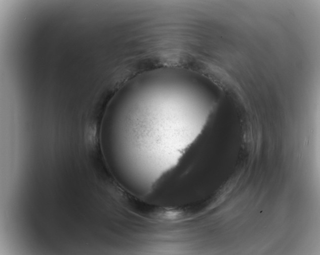 X0000089880610200707051211