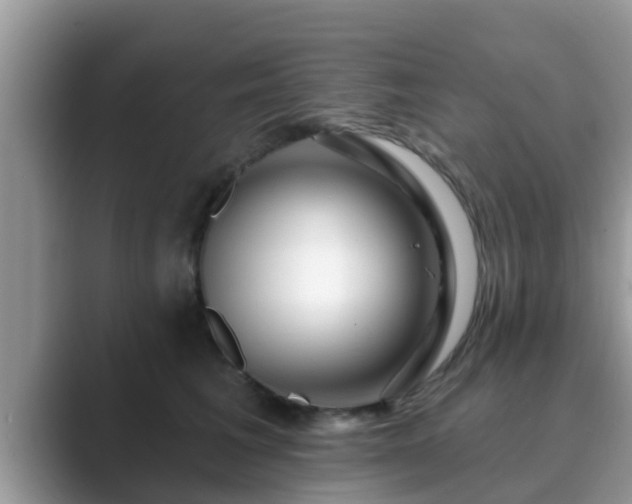 X0000089880613200707051211