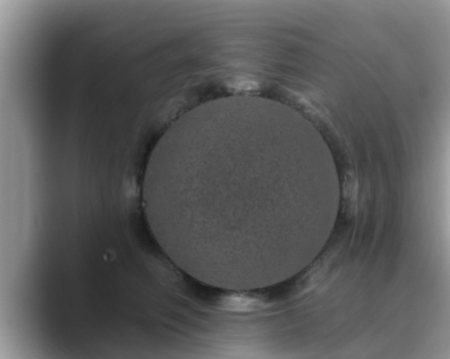 X0000089880614200707051211