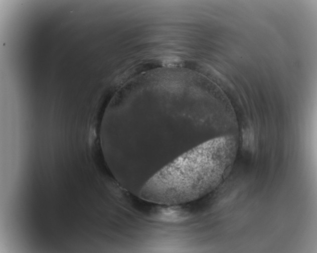 X0000089880618200707051211