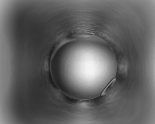 X0000089880620200707051211