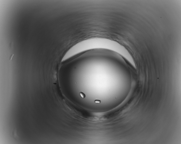 X0000089880621200707051211