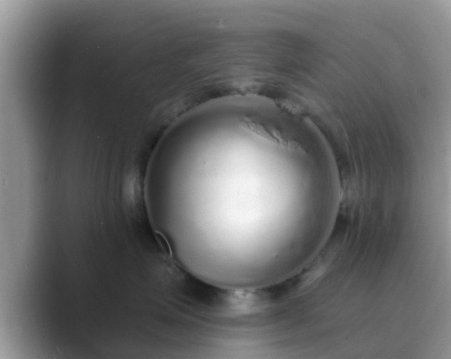 X0000089880623200707051211