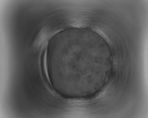 X0000089880626200707051210