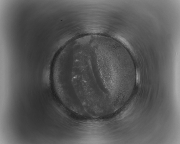 X0000089880627200707051210