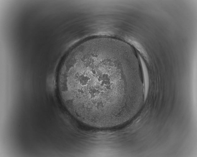 X0000089880628200707051210