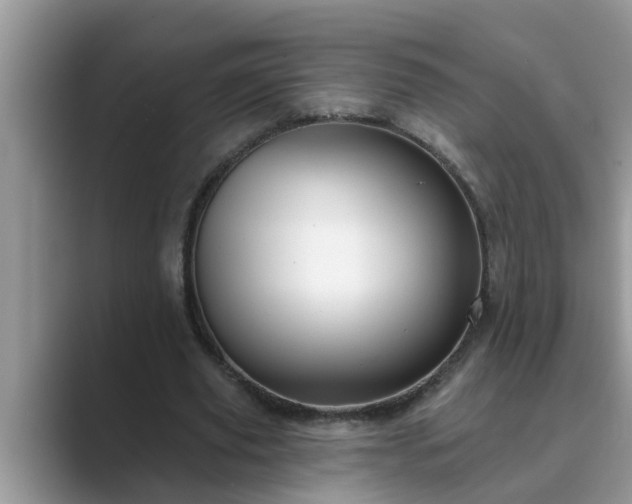 X0000089880629200707051210