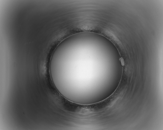 X0000089880635200707051211