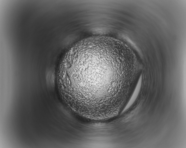 X0000089880637200707051211