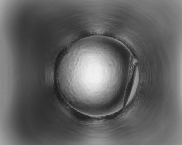 X0000089880638200707051211