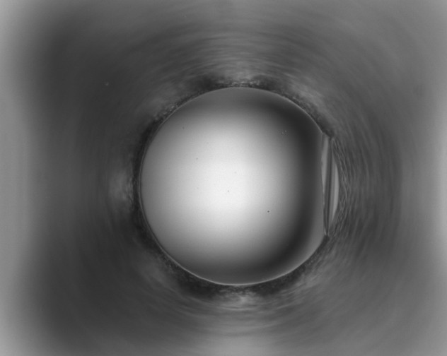 X0000089880642200707051211