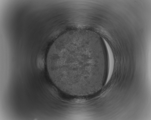 X0000089880644200707051211