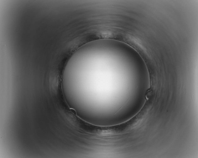 X0000089880645200707051211