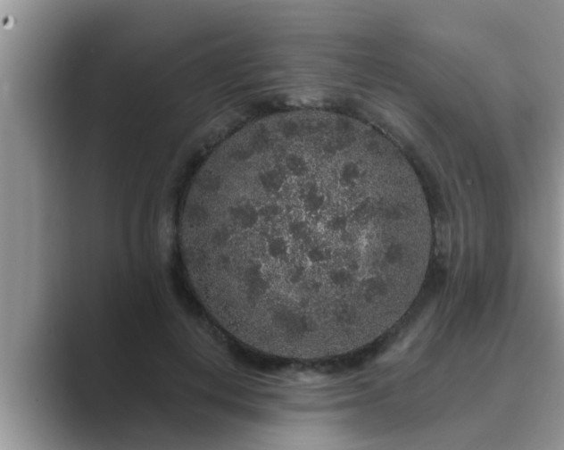 X0000089880648200707051211