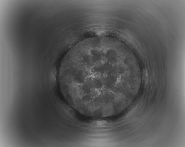 X0000089880650200707051211