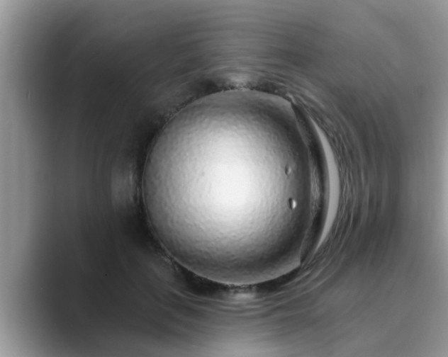 X0000089880651200707051211