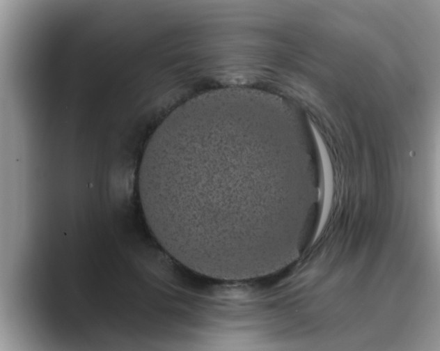 X0000089880652200707051211