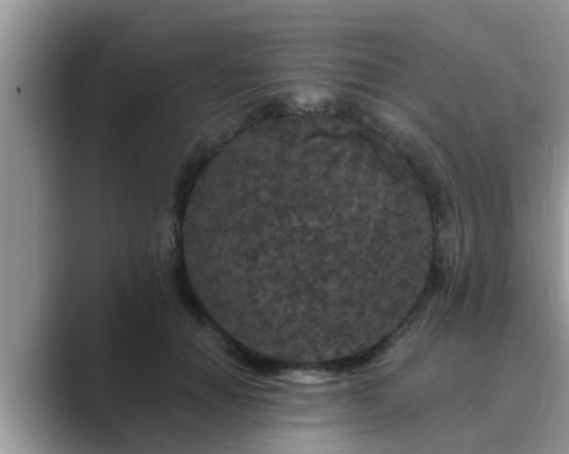 X0000089880654200707051211