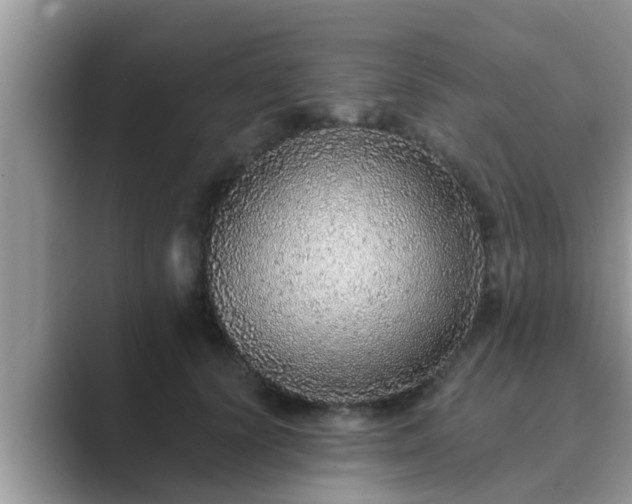 X0000089880656200707051211