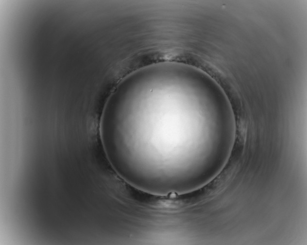 X0000089880657200707051211