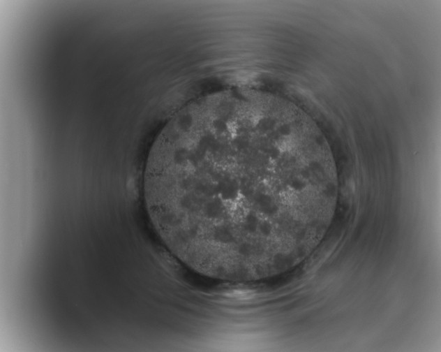 X0000089880658200707051211