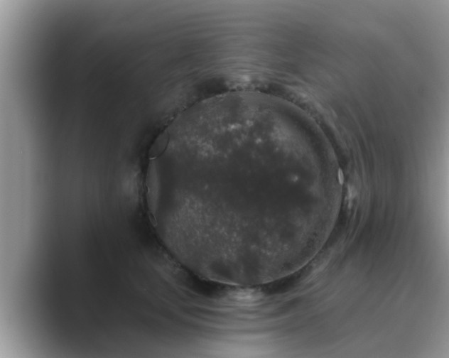 X0000089880659200707051211