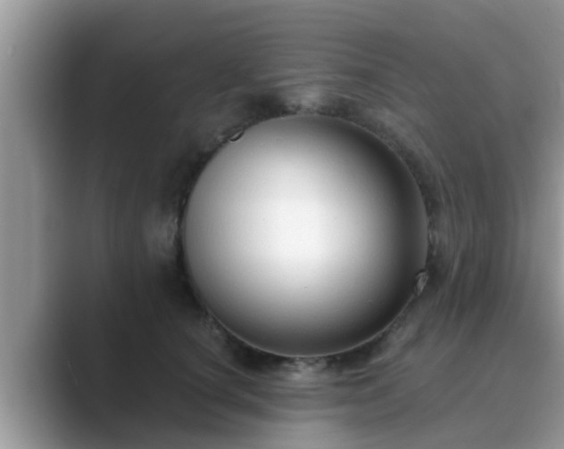 X0000089880660200707051211