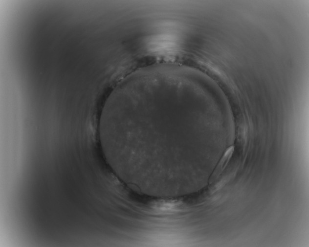 X0000089880661200707051211