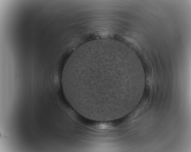 X0000089880662200707051211