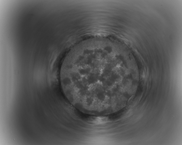 X0000089880663200707051211