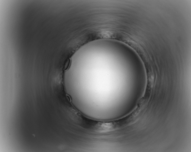 X0000089880665200707051211