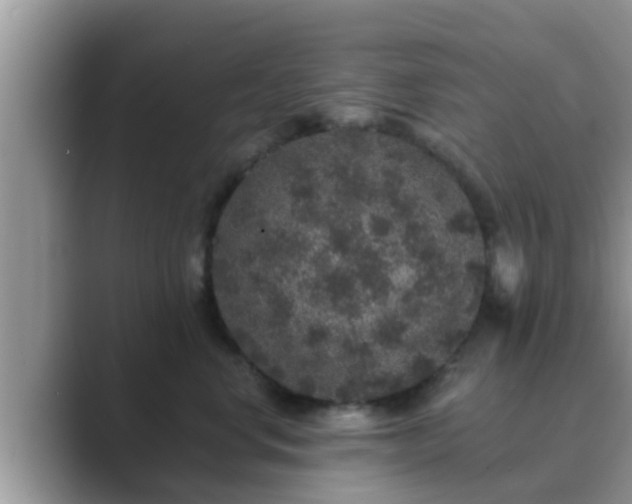 X0000089880668200707051211