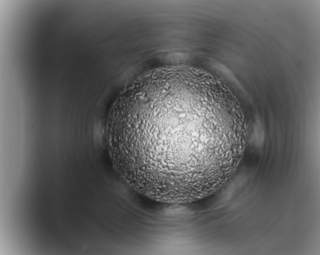 X0000089880669200707051211