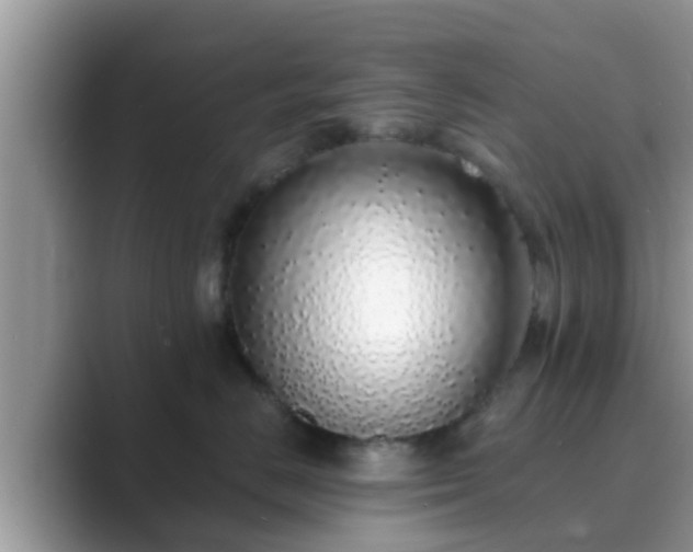 X0000089880670200707051211