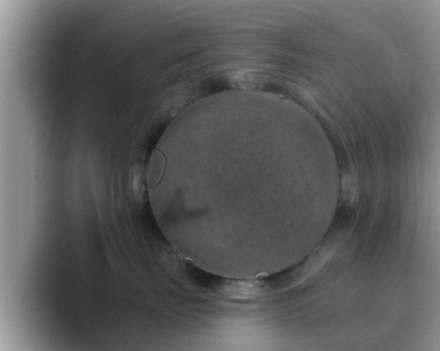 X0000089880671200707051211