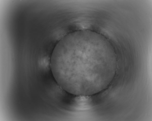 X0000089880672200707051211