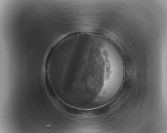 X0000089880674200707051210