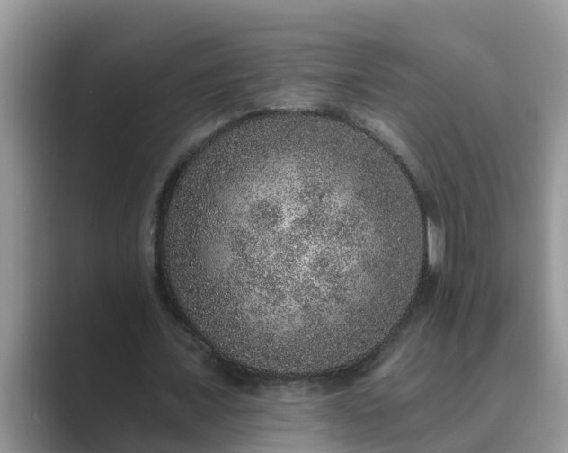 X0000089880675200707051210