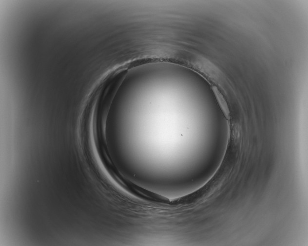 X0000089880676200707051210