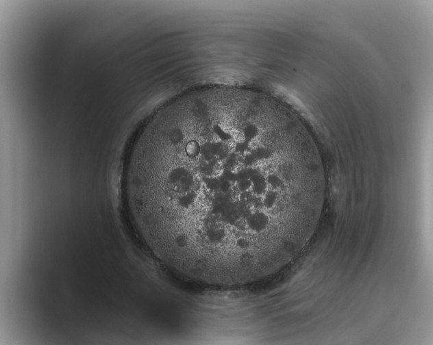 X0000089880679200707051210