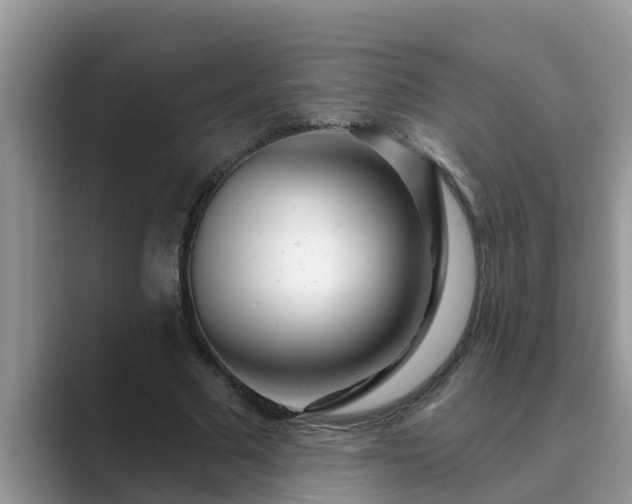 X0000089880681200707051210