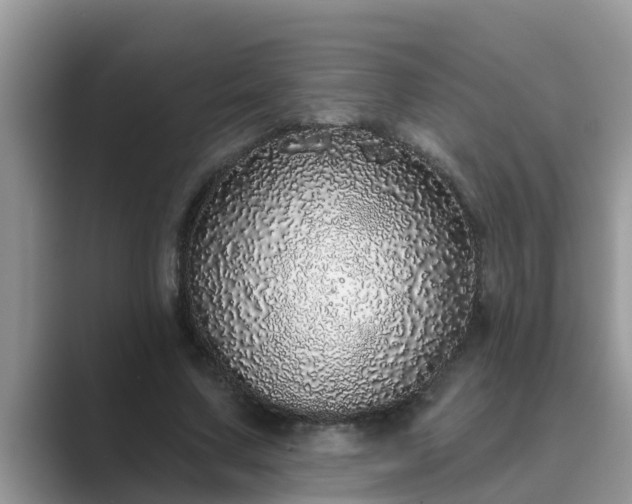 X0000089880683200707051210