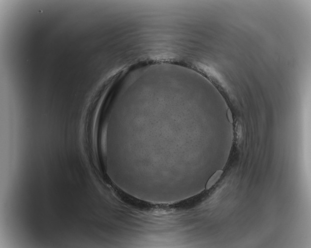 X0000089880684200707051210