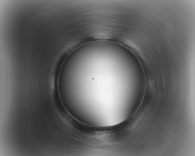 X0000089880686200707051210