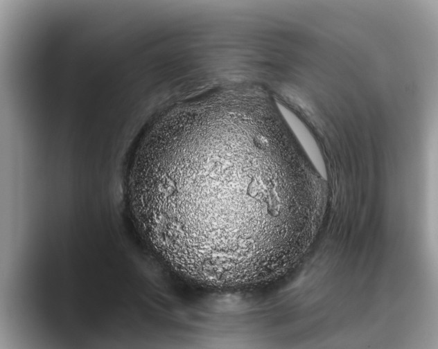 X0000089880687200707051210