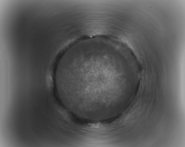 X0000089880688200707051210