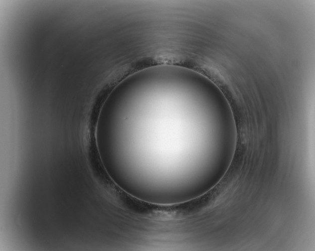 X0000089880690200707051210