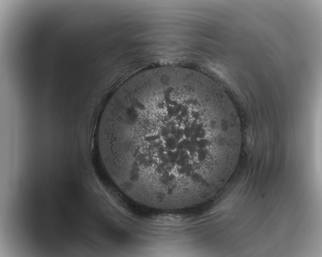 X0000089880691200707051210