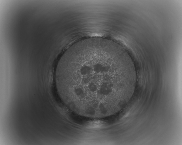 X0000089880695200707051210